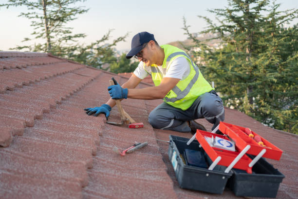 Best Commercial Roof Installation  in Spring Valley, IL